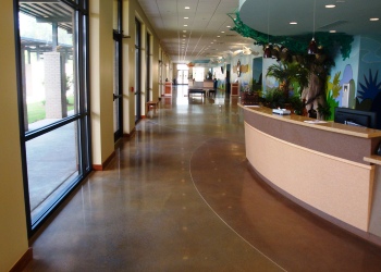 Polished concrete floor with acid-based stain.